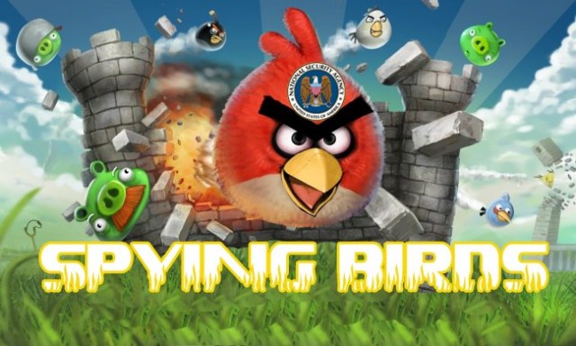 Spying Birds